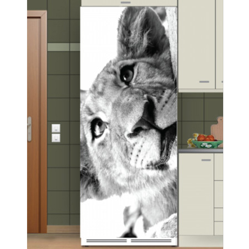 Αυτοκόλλητο ψυγείου με Λιονταράκι